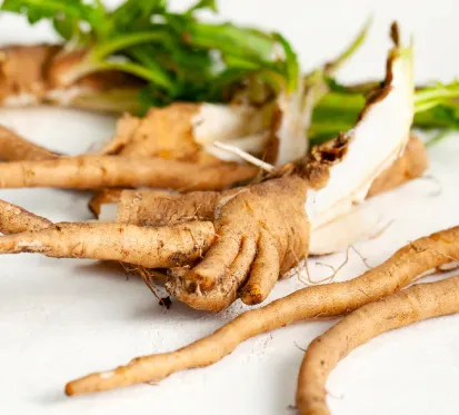 Javatide Chicory Root Inulin Ingredient